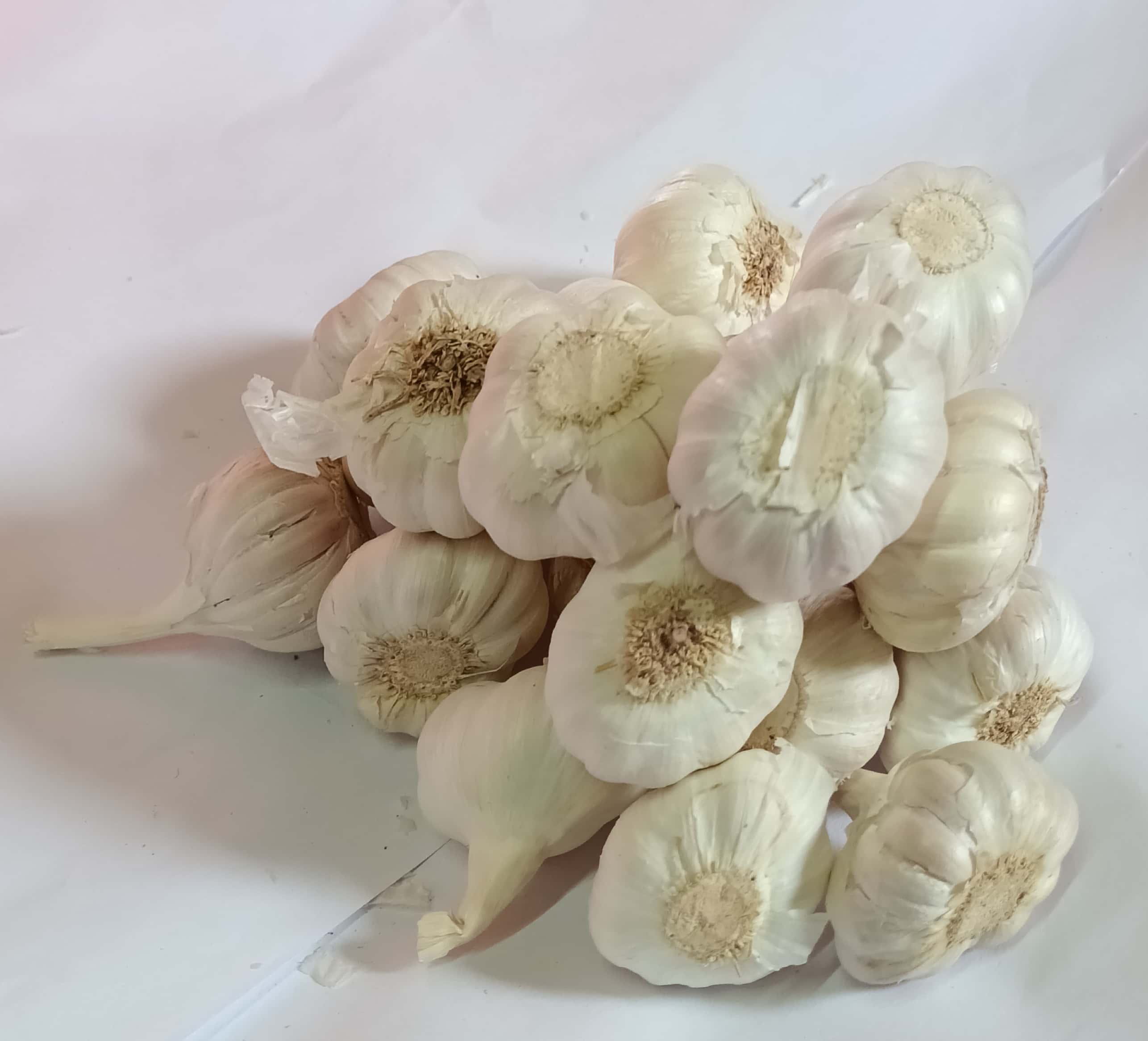 Garlic whole