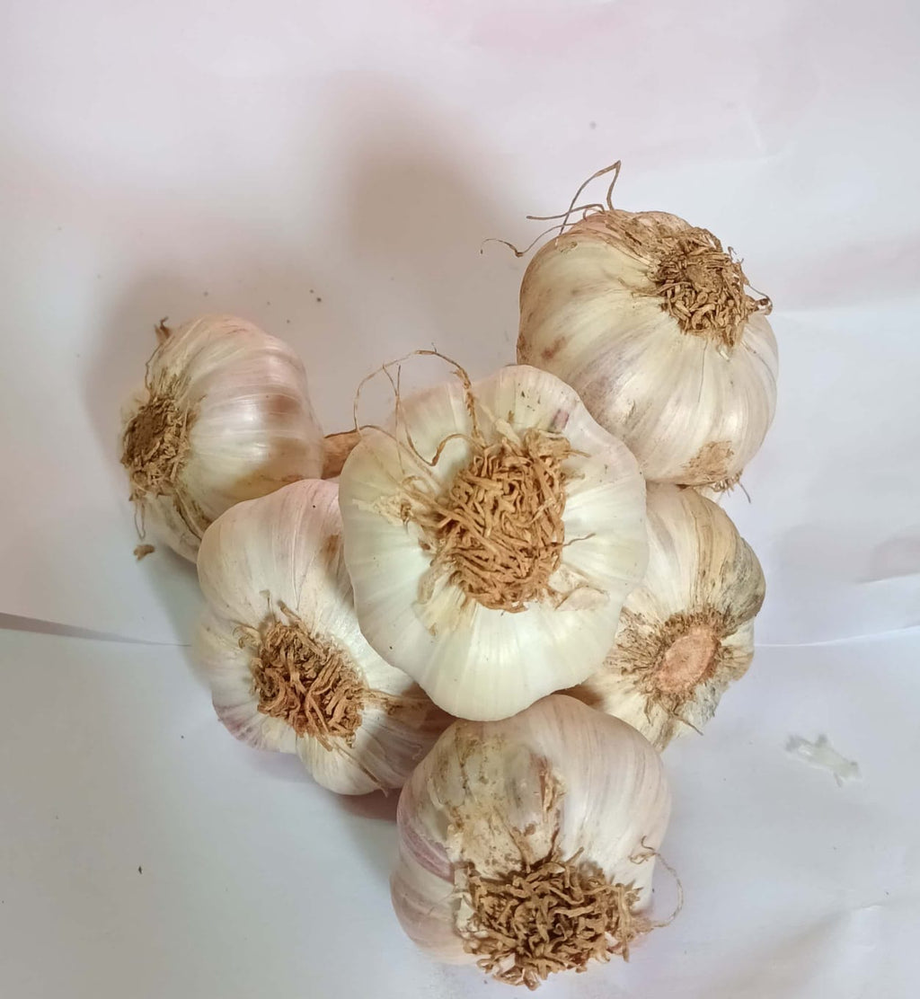 Garlic whole