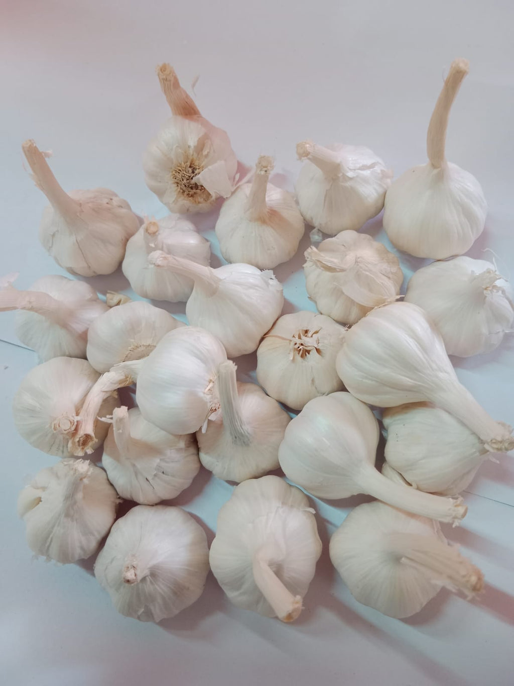 Garlic whole