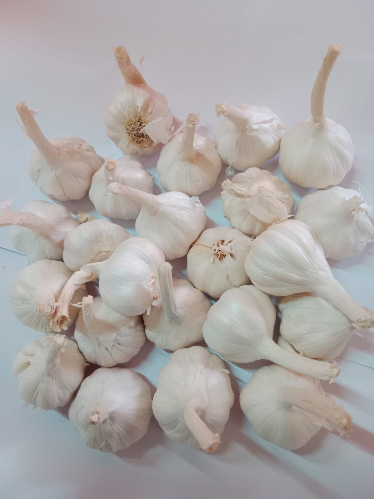Garlic whole