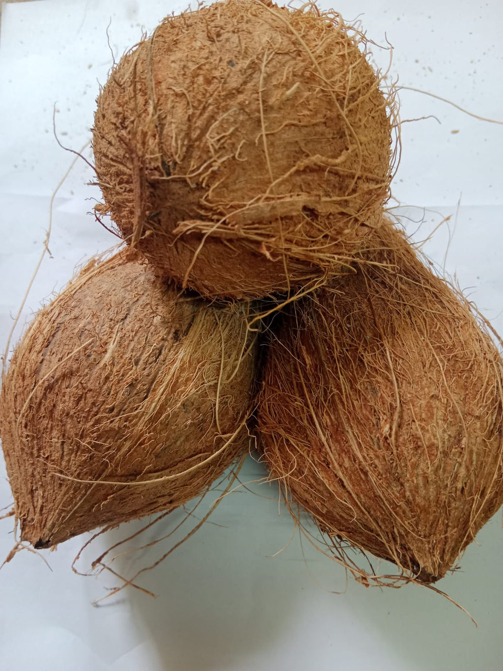 Coconut