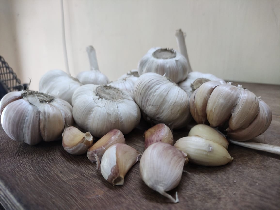 Hill Garlic (மலை பூண்டு)