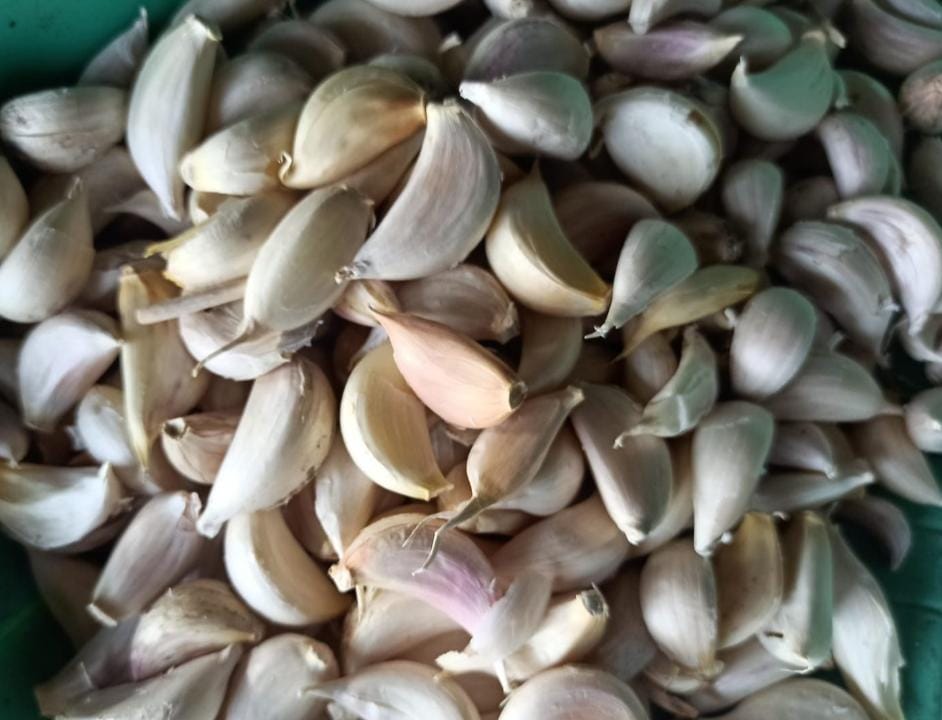 Uhiri Garlic (உதிரி பூண்டு)